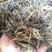 红茶云南滇红茶理条