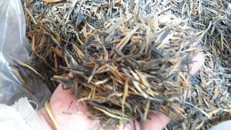 红茶云南滇红茶理条