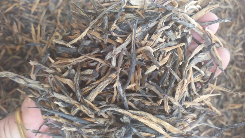 红茶云南滇红茶理条