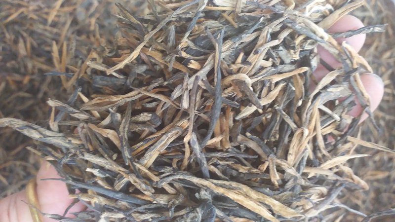 红茶云南滇红茶理条