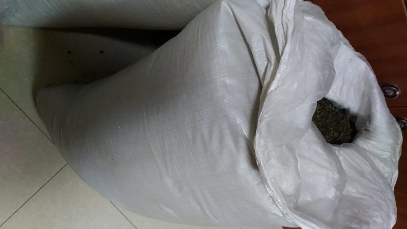 【碧螺春】绿茶一手货源批发零售量大从优包邮