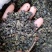 【碧螺春】绿茶一手货源批发零售量大从优包邮