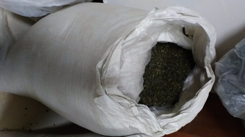 【碧螺春】绿茶一手货源批发零售量大从优包邮