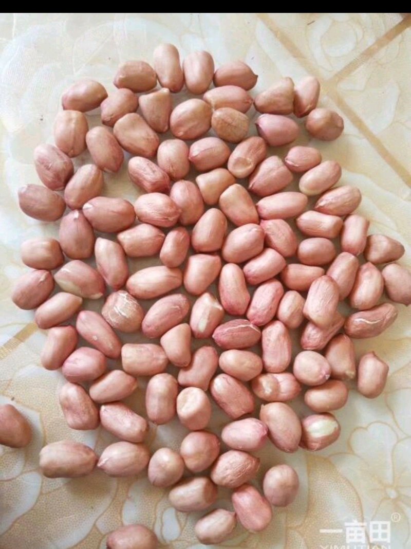 专业卖花生米，价格低请朋友们前来够买