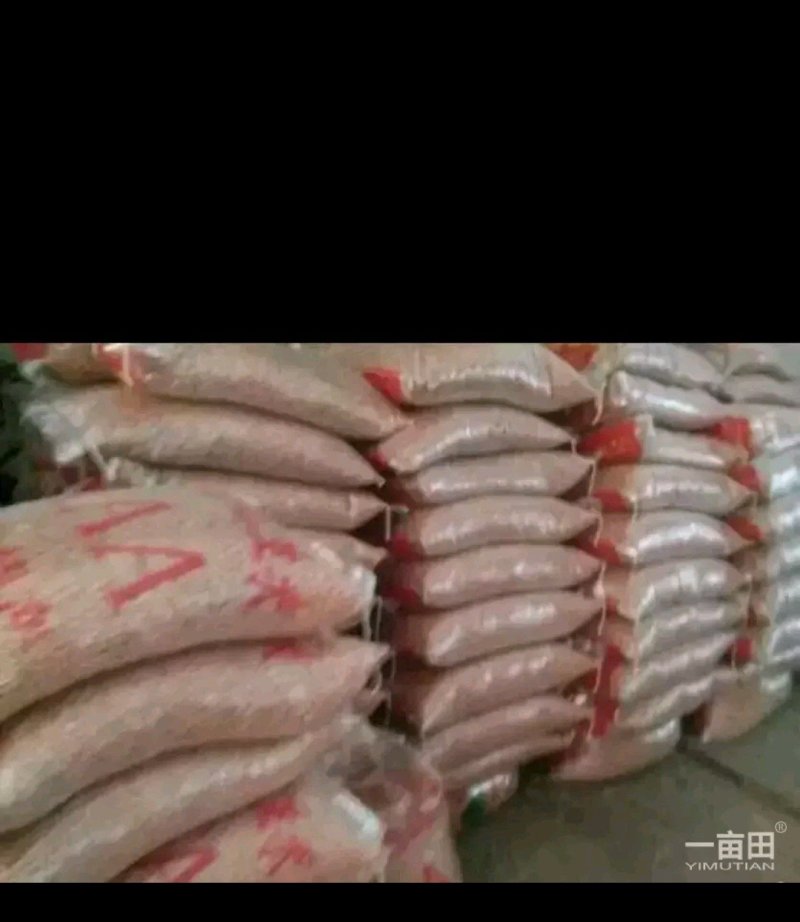 专业卖花生米，价格低请朋友们前来够买