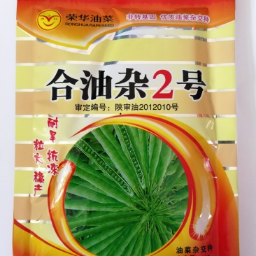 合油杂2号油菜种子抗旱抗冻大田非转基因