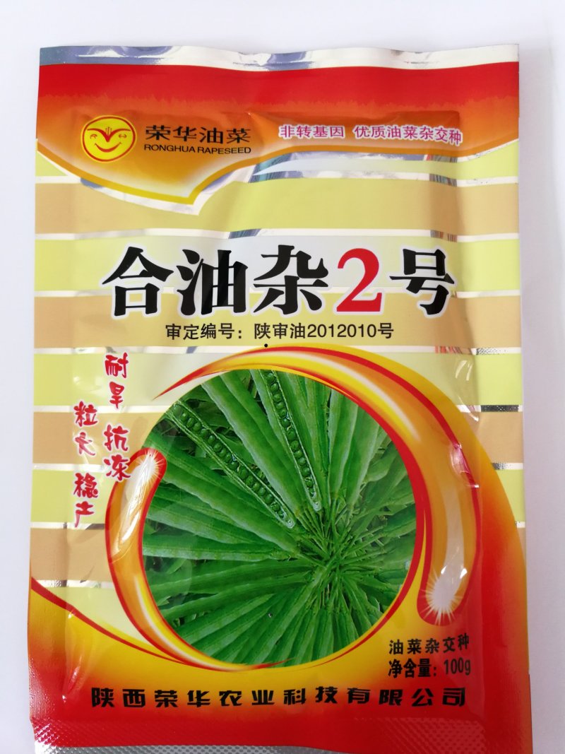 合油杂2号油菜种子抗旱抗冻大田非转基因