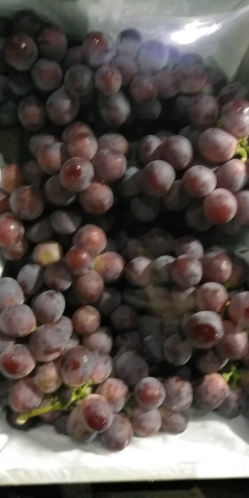 红提