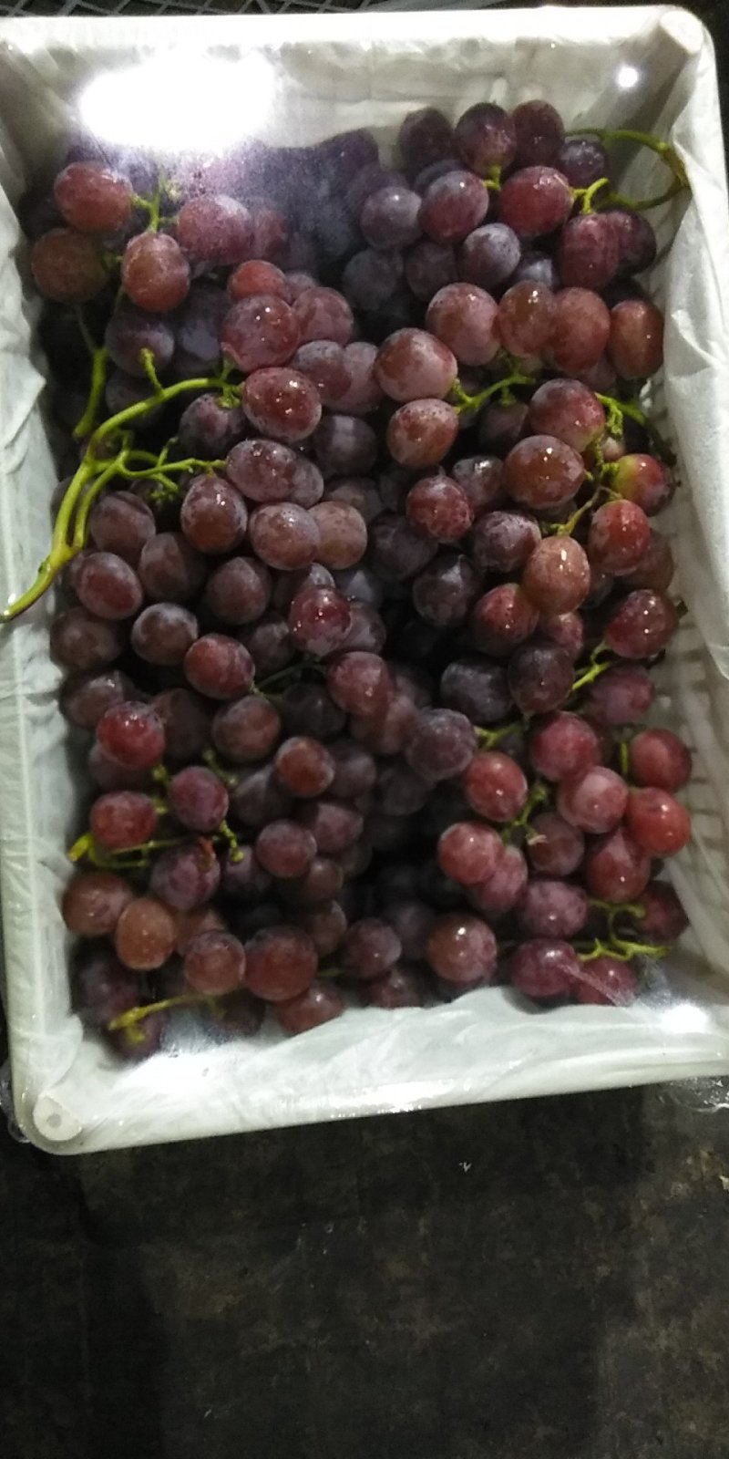 红提