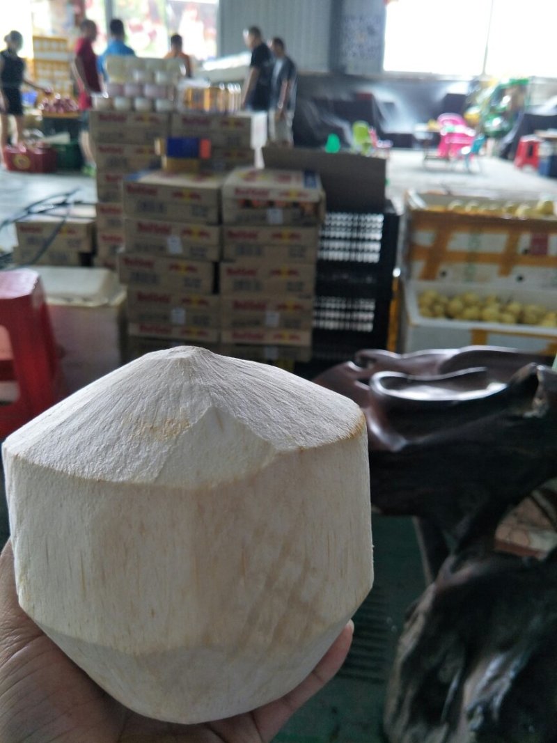 椰子
