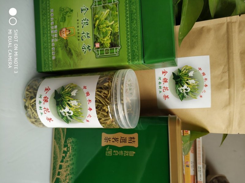 四季丰一号金银花