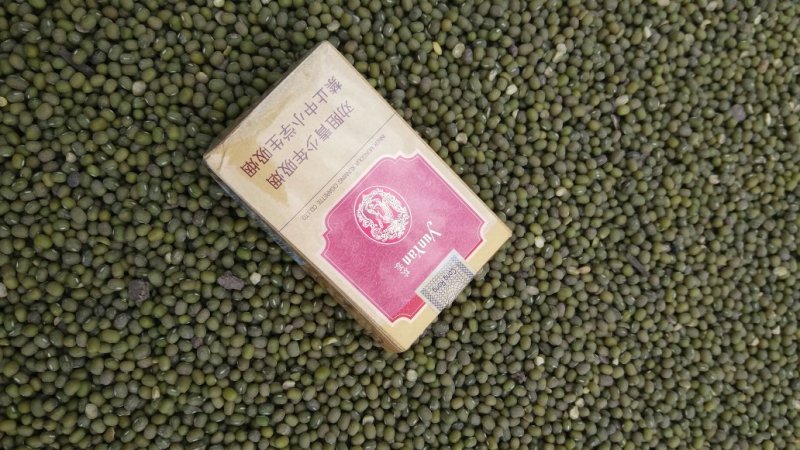 出售毛绿豆