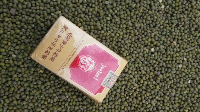 出售毛绿豆
