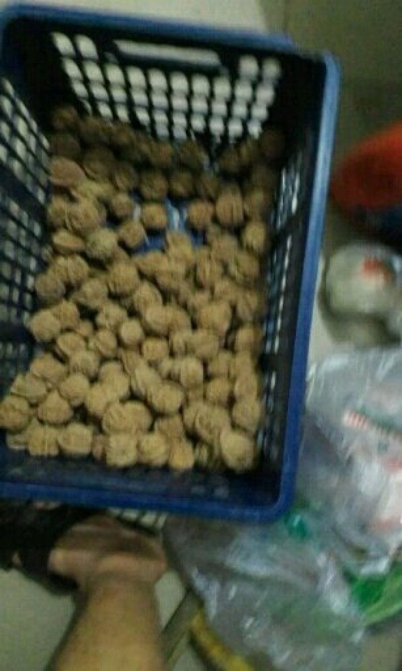 精品文玩核桃