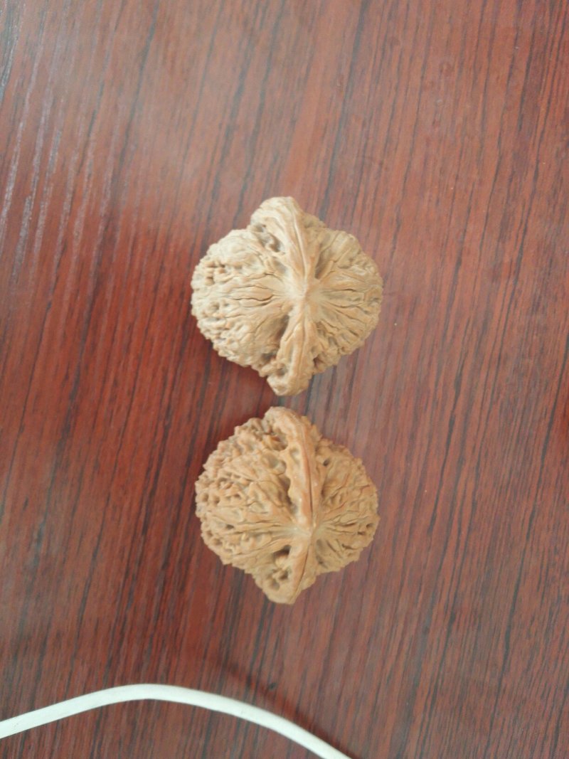 精品文玩核桃