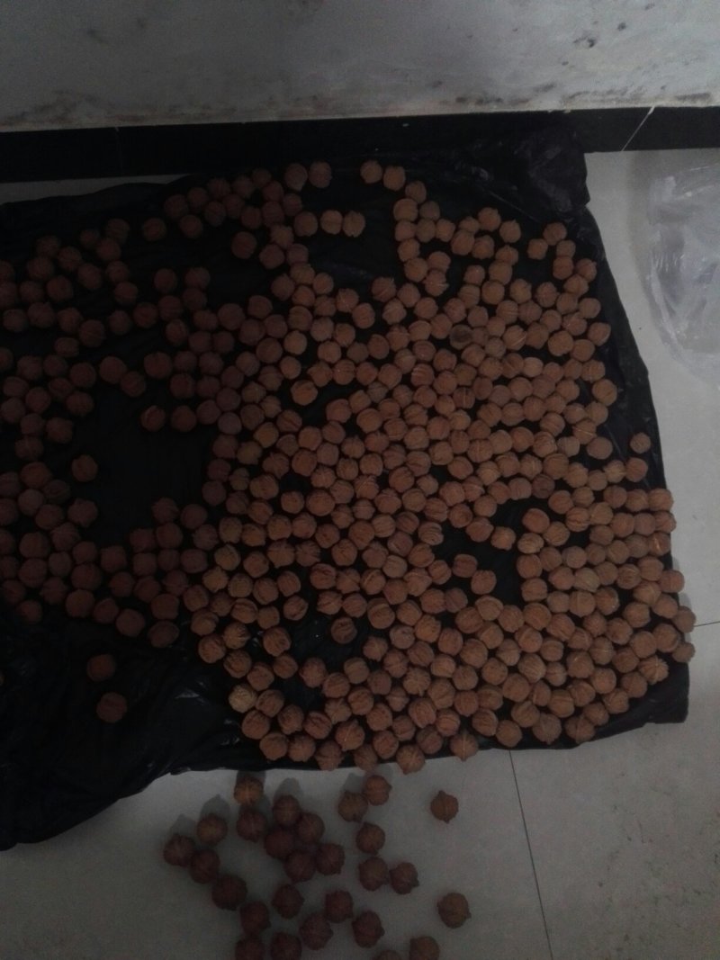 精品文玩核桃