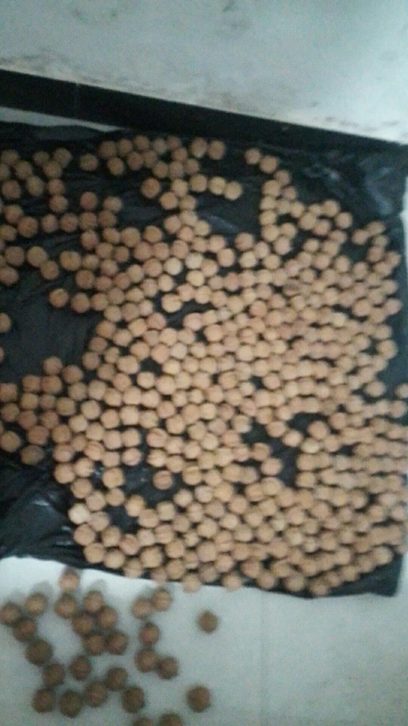 精品文玩核桃