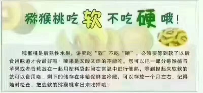 松柏猕猴桃基地，欢迎各界老板前来选购