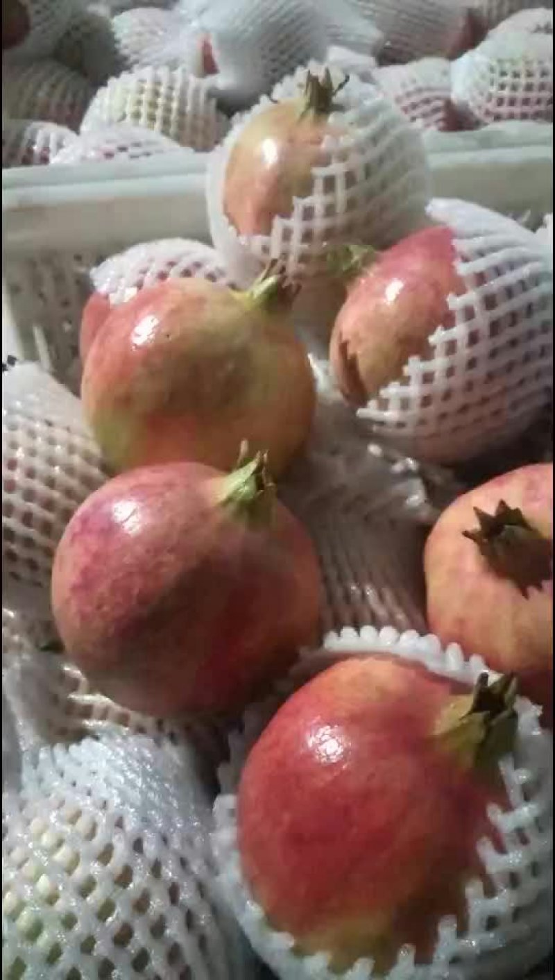石榴