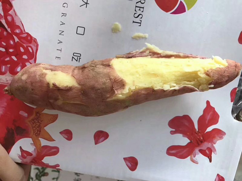 红薯