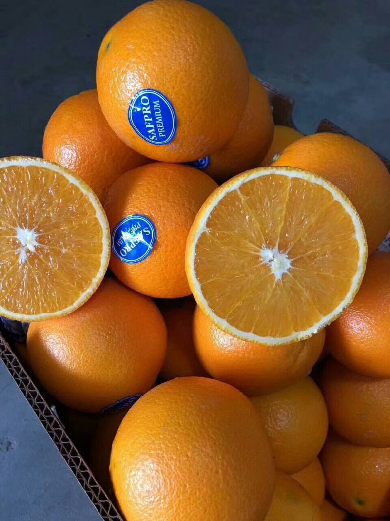 新品种橙子又甜又好吃
