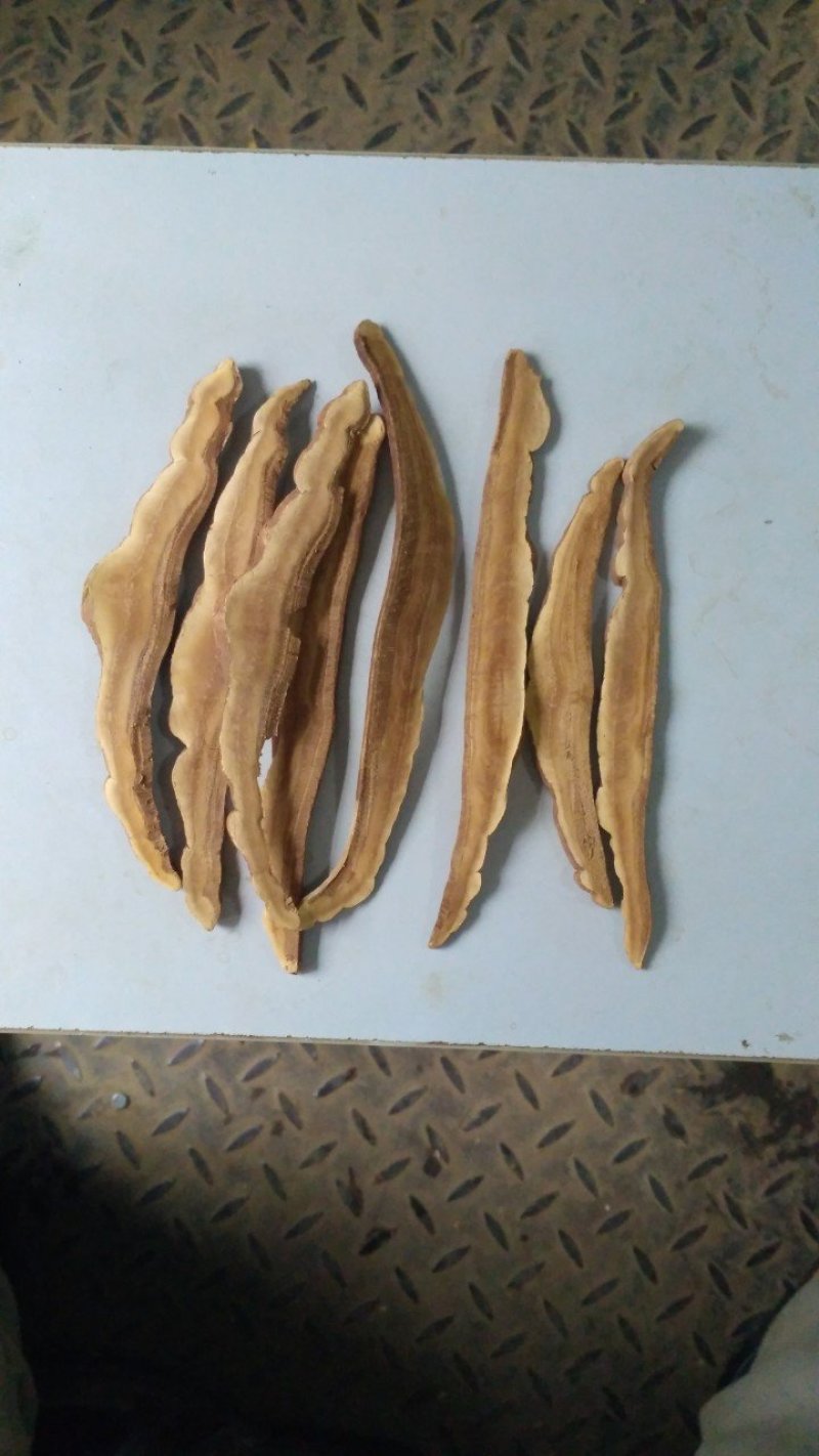 灵芝切片大货供应各种灵芝产品…