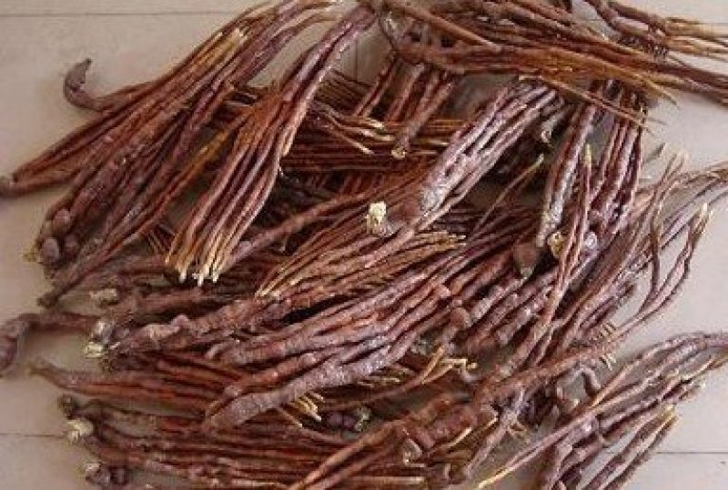 灵芝切片大货供应各种灵芝产品…