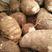 山东毛芋头（8520芋头种）产地批发(全国发货)量大从优