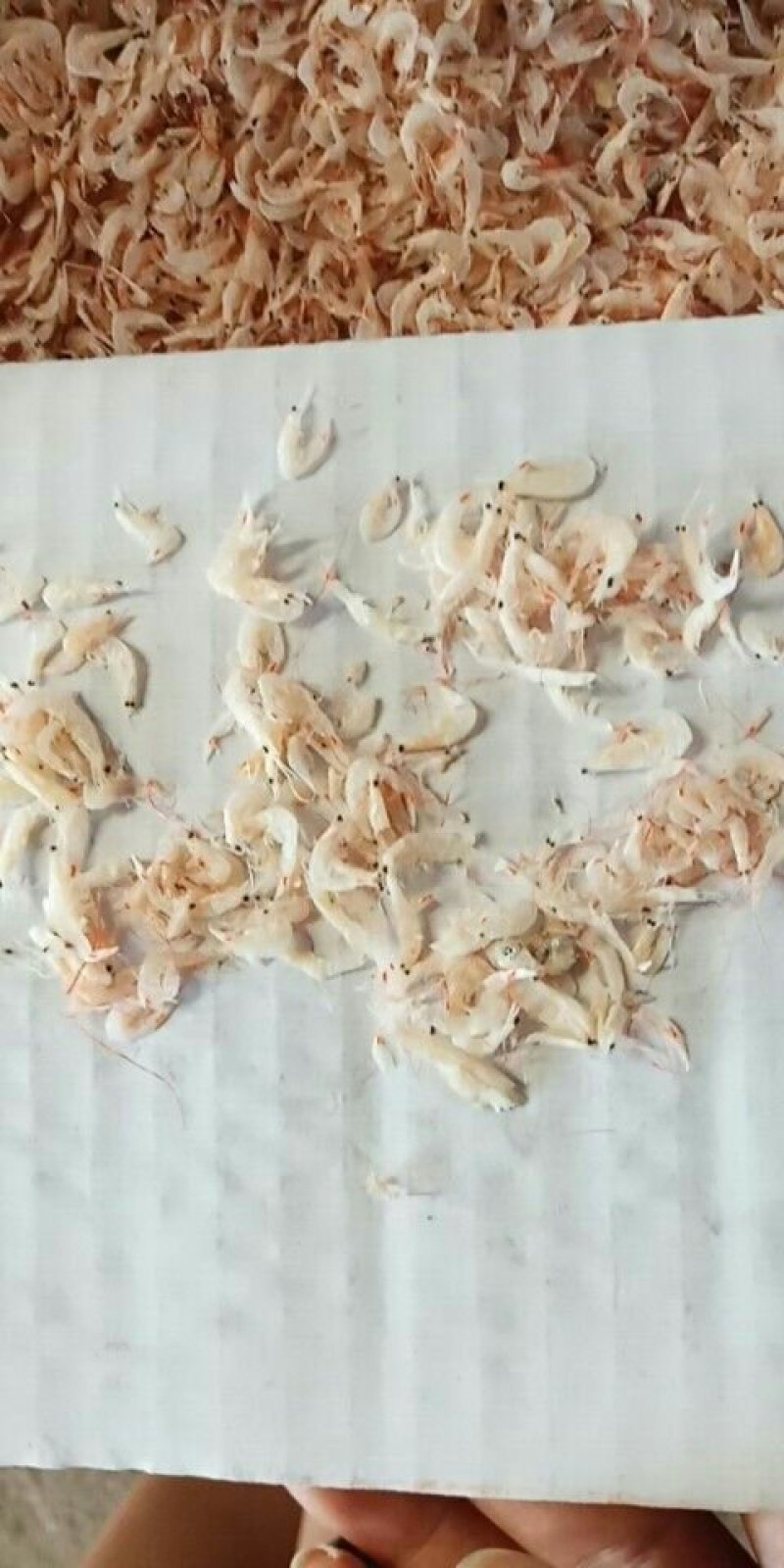 虾皮一手货源，价格合理
