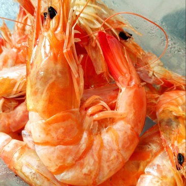 大烤虾虾干