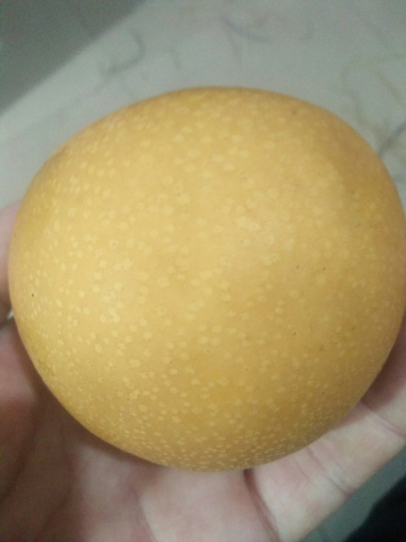 秋月梨（保鲜库）