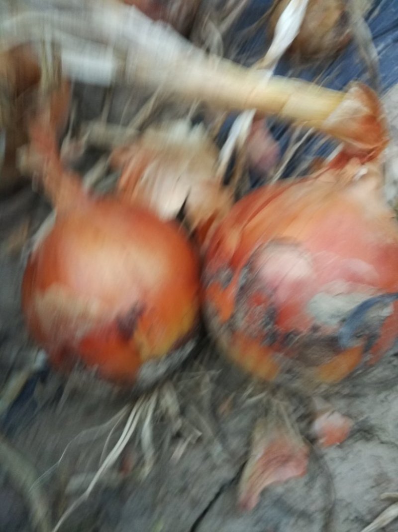 0.30