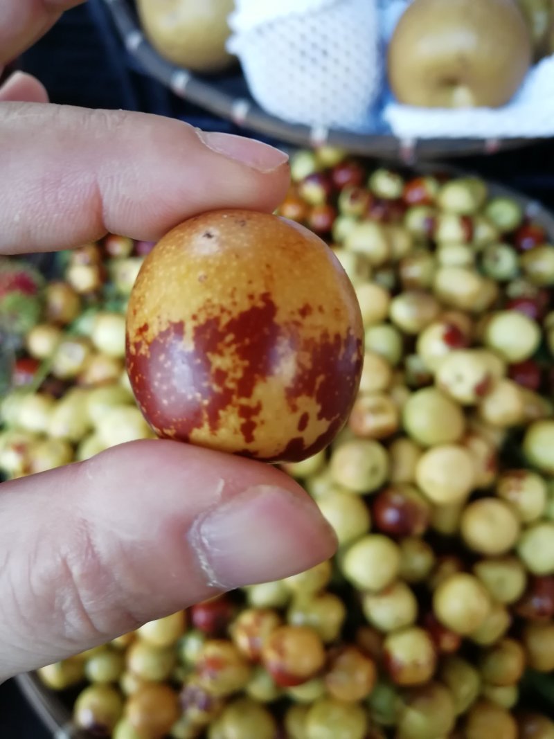 缅甸土特产