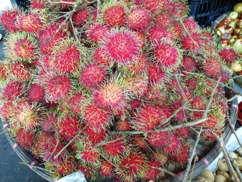缅甸土特产