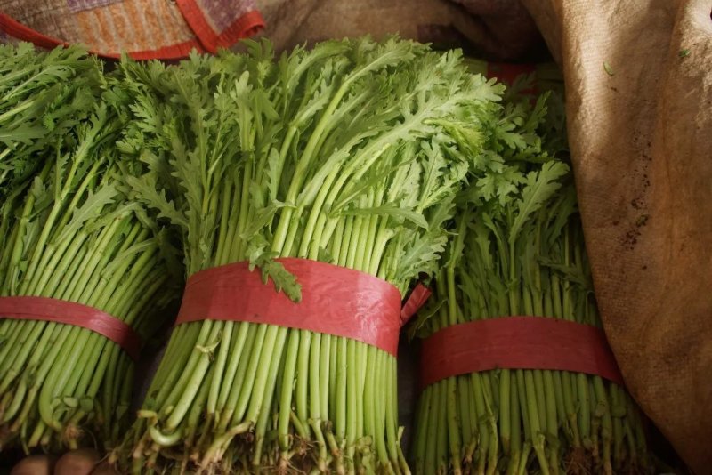 精品茼蒿，一年四季大量供应，以及各种精品叶菜，需要联系我