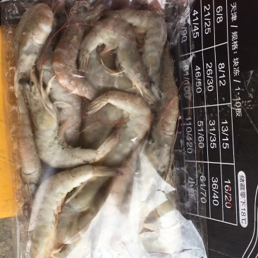南美白对虾