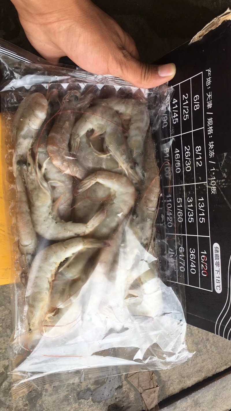 南美白对虾