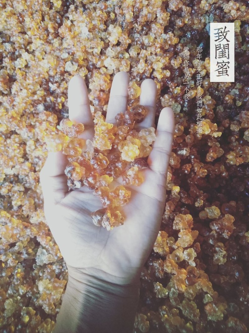 颗粒黄胶，质量好，价格优
