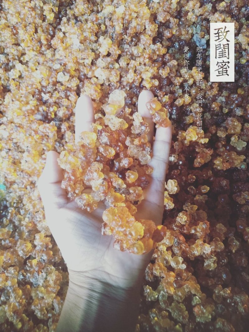 颗粒黄胶，质量好，价格优