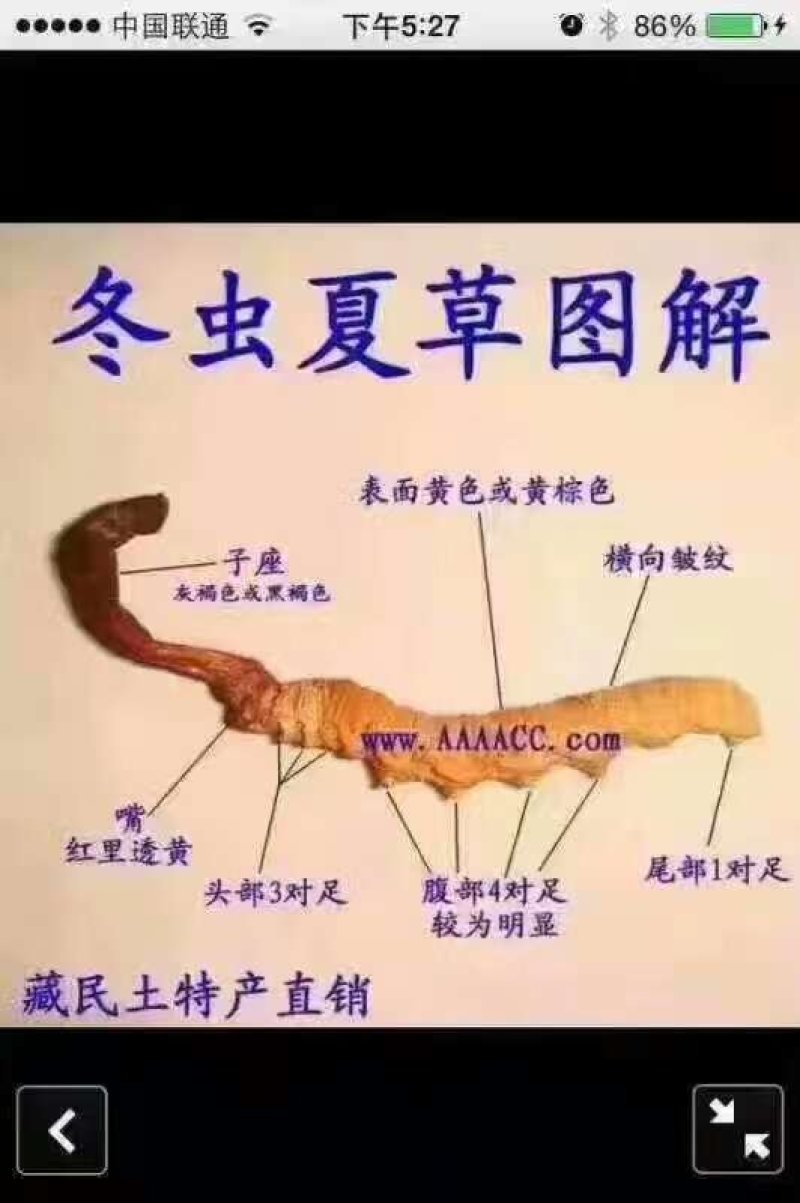 产地直销，物美价廉，欢迎选购！