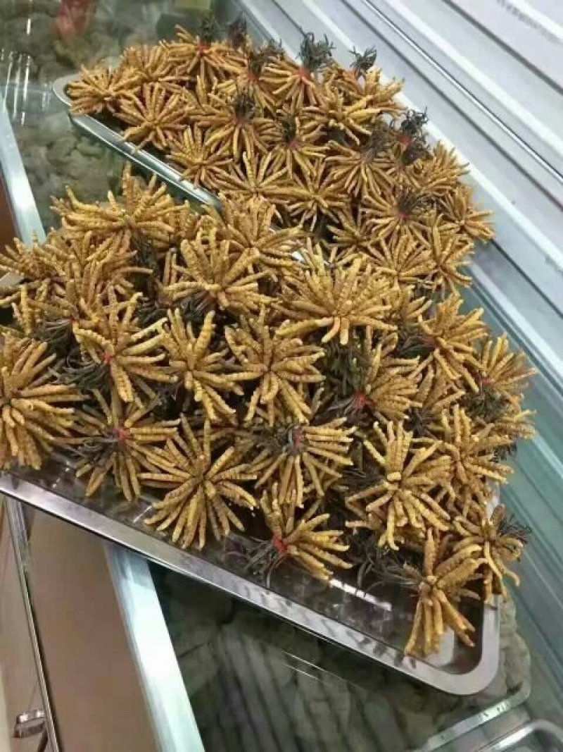 产地直销，物美价廉，欢迎选购！