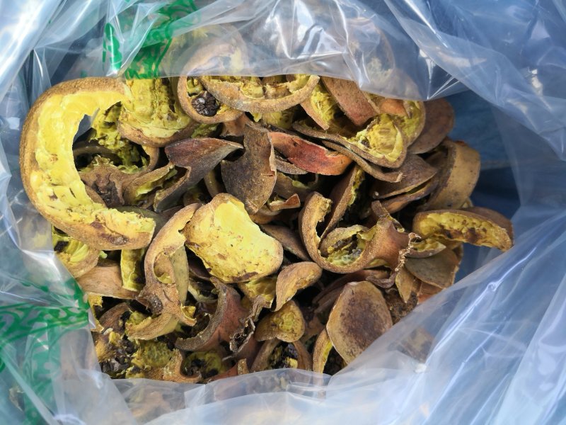 批发石榴皮