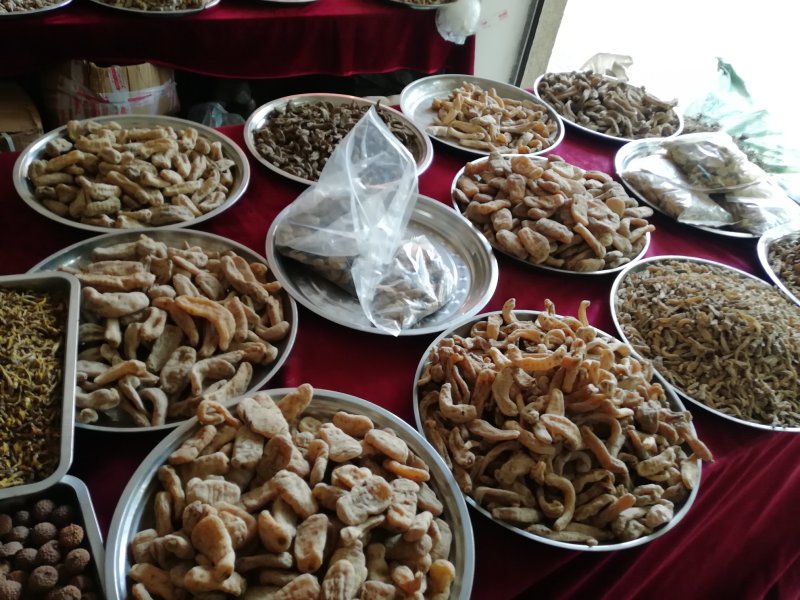 缅甸天麻