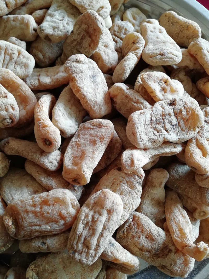 缅甸天麻