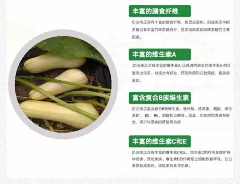 阿根廷迷你奶油南瓜