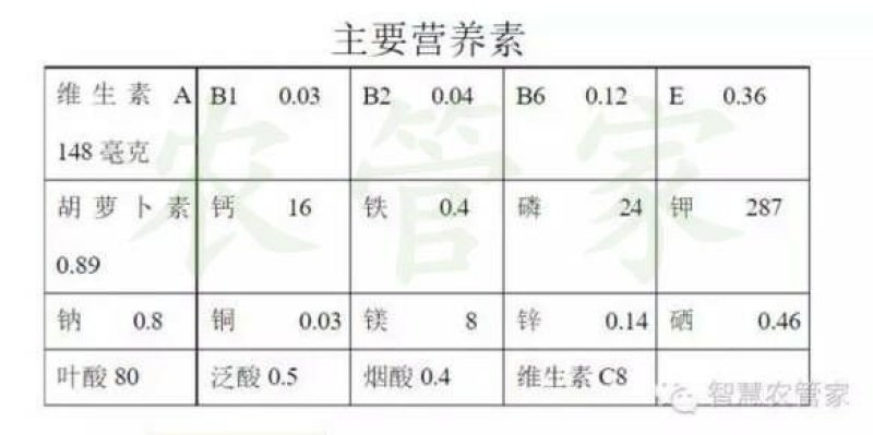 阿根廷迷你奶油南瓜