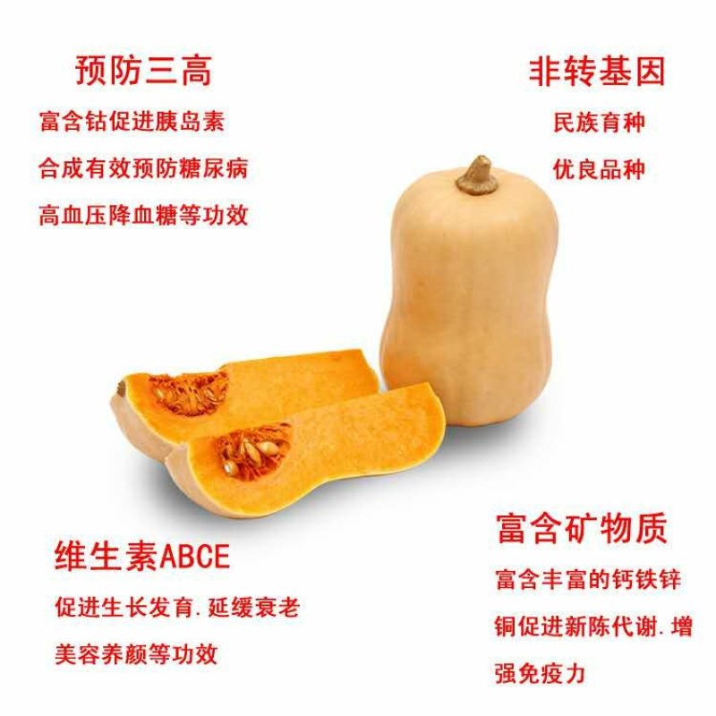 阿根廷迷你奶油南瓜
