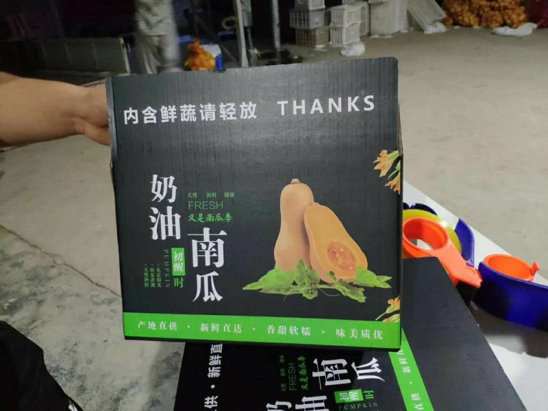 阿根廷迷你奶油南瓜