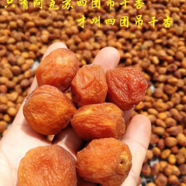 吊干杏。杏干
