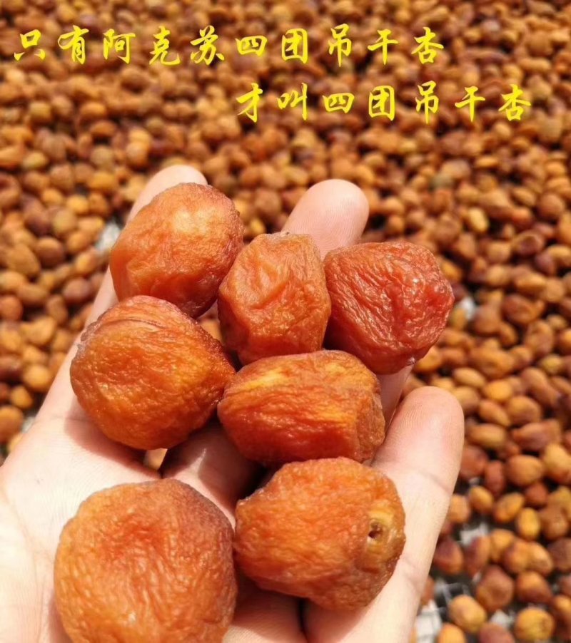 吊干杏。杏干